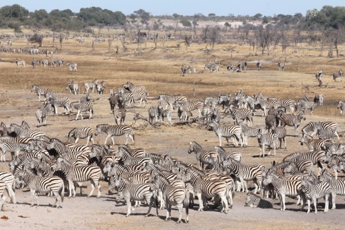 Makgadikgadi Pans National Park 002